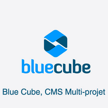 Logo Blue Cube - CMS multi-projets